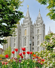 Load image into Gallery viewer, Salt Lake City Temple June - God Is the Gardner Gallery Wrap
