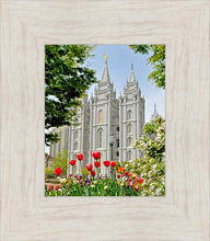 Load image into Gallery viewer, Salt Lake City Temple June - God Is the Gardner
