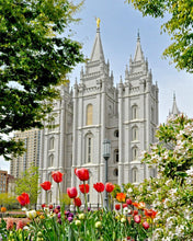 Load image into Gallery viewer, Salt Lake City Temple June - God Is the Gardner
