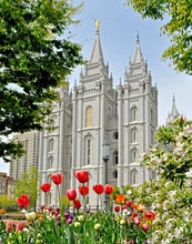 Load image into Gallery viewer, Salt Lake City Temple June - God Is the Gardner Gallery Wrap
