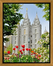 Load image into Gallery viewer, Salt Lake City Temple June - God Is the Gardner Gallery Wrap

