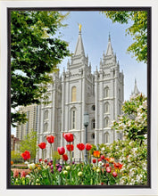 Load image into Gallery viewer, Salt Lake City Temple June - God Is the Gardner Gallery Wrap
