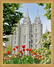 Load image into Gallery viewer, Salt Lake City Temple June - God Is the Gardner
