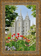 Load image into Gallery viewer, Salt Lake City Temple June - God Is the Gardner
