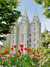 Load image into Gallery viewer, Salt Lake City Temple June - God Is the Gardner
