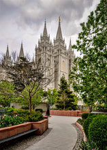 Load image into Gallery viewer, Salt Lake City Temple Pathway To Glory
