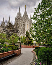 Load image into Gallery viewer, Salt Lake City Temple Pathway To Glory
