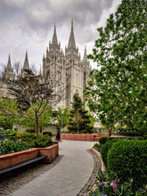 Load image into Gallery viewer, Salt Lake City Temple Pathway To Glory
