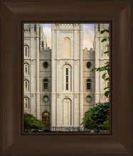 Load image into Gallery viewer, Salt Lake City Temple The Morning Breaks
