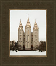 Load image into Gallery viewer, Salt Lake City Temple Warming Reflection
