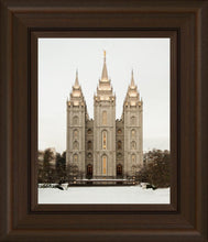 Load image into Gallery viewer, Salt Lake City Temple Warming Reflection
