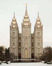 Load image into Gallery viewer, Salt Lake City Temple Warming Reflection
