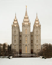 Load image into Gallery viewer, Salt Lake City Temple Warming Reflection
