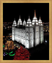 Load image into Gallery viewer, Salt Lake City Temple Wondrous Perspective
