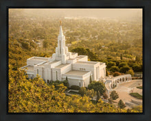 Load image into Gallery viewer, Bountiful Radiance Gallery Wrap

