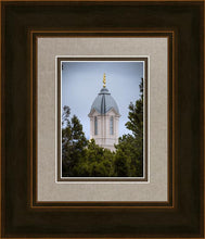 Load image into Gallery viewer, Cedar City Detail
