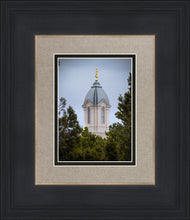 Load image into Gallery viewer, Cedar City Detail
