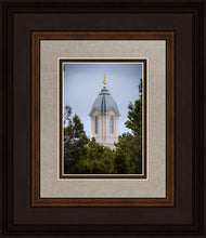 Load image into Gallery viewer, Cedar City Detail
