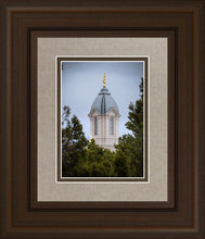 Load image into Gallery viewer, Cedar City Detail
