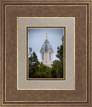 Load image into Gallery viewer, Cedar City Detail
