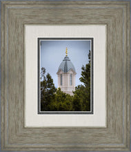 Load image into Gallery viewer, Cedar City Detail
