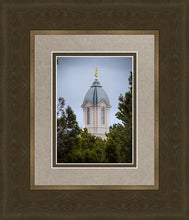 Load image into Gallery viewer, Cedar City Detail
