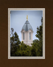 Load image into Gallery viewer, Cedar City Detail
