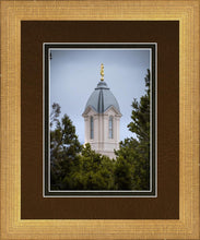 Load image into Gallery viewer, Cedar City Detail
