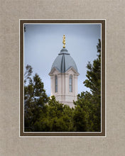 Load image into Gallery viewer, Cedar City Detail
