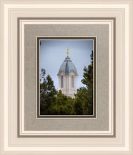 Load image into Gallery viewer, Cedar City Detail
