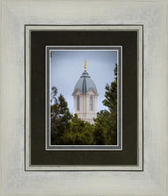 Load image into Gallery viewer, Cedar City Detail
