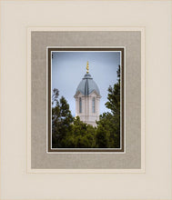 Load image into Gallery viewer, Cedar City Detail
