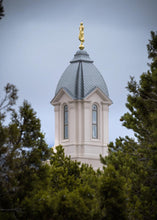 Load image into Gallery viewer, Cedar City Detail
