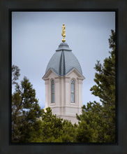 Load image into Gallery viewer, Cedar City Detail Gallery Wrap
