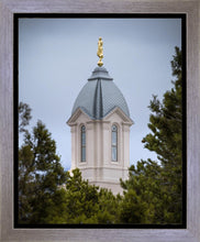 Load image into Gallery viewer, Cedar City Detail Gallery Wrap
