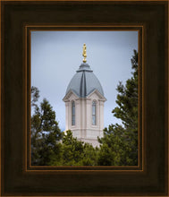 Load image into Gallery viewer, Cedar City Detail
