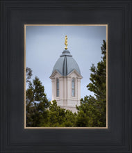 Load image into Gallery viewer, Cedar City Detail
