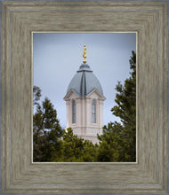 Load image into Gallery viewer, Cedar City Detail
