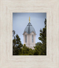 Load image into Gallery viewer, Cedar City Detail
