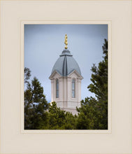 Load image into Gallery viewer, Cedar City Detail
