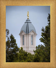 Load image into Gallery viewer, Cedar City Detail
