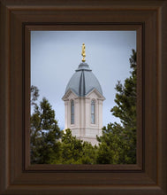 Load image into Gallery viewer, Cedar City Detail
