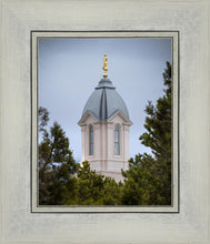 Load image into Gallery viewer, Cedar City Detail
