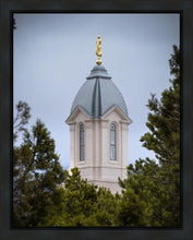 Load image into Gallery viewer, Cedar City Detail Gallery Wrap
