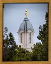Load image into Gallery viewer, Cedar City Detail Gallery Wrap
