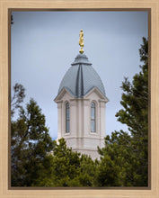Load image into Gallery viewer, Cedar City Detail Gallery Wrap
