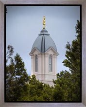 Load image into Gallery viewer, Cedar City Detail Gallery Wrap
