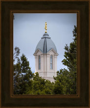 Load image into Gallery viewer, Cedar City Detail
