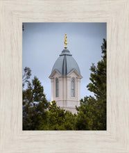 Load image into Gallery viewer, Cedar City Detail
