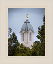 Load image into Gallery viewer, Cedar City Detail
